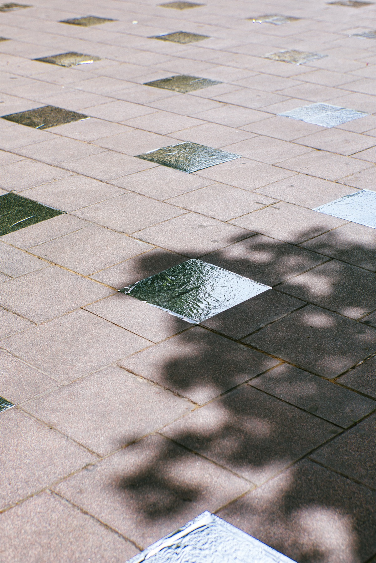 Aigua Sana (Barcelona), image 6