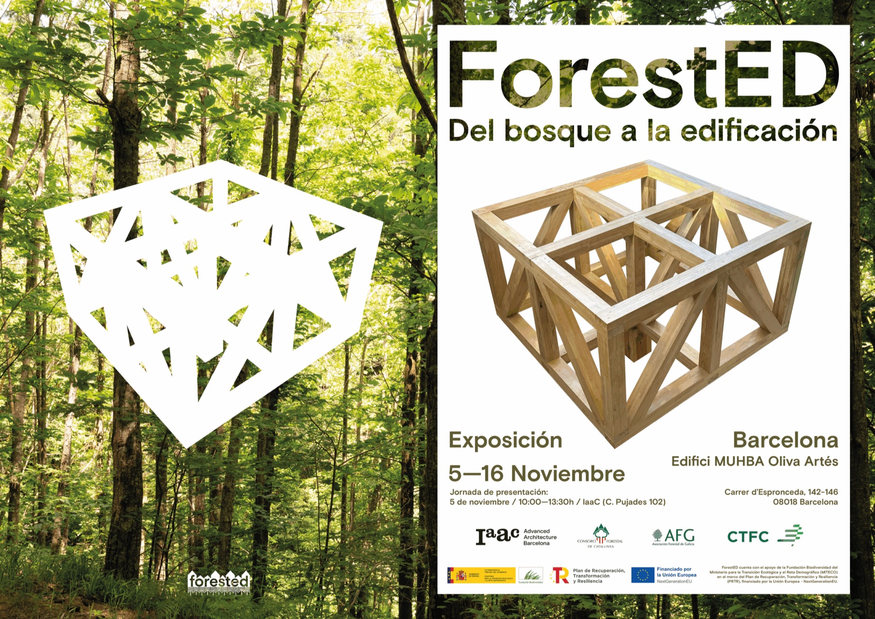ForestED, image 4