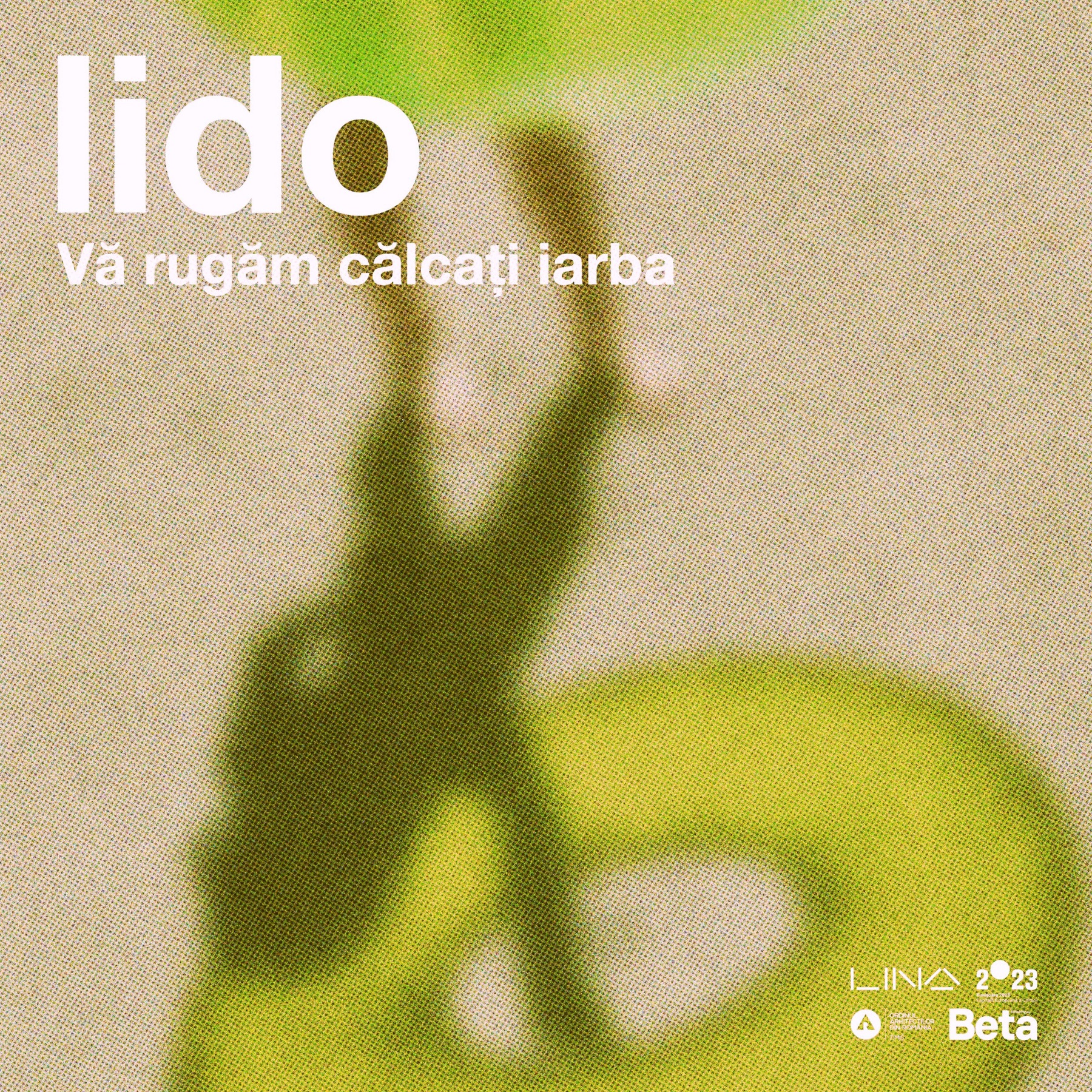 Lido: Please Step on the Grass (Timișoara & Romania), image 12