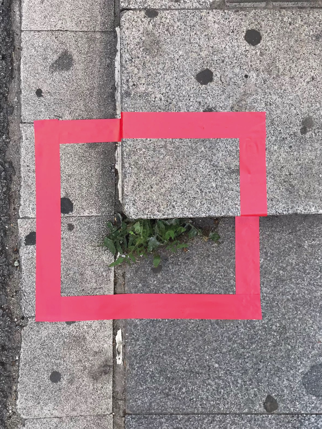 Square It (Barcelona), image 7