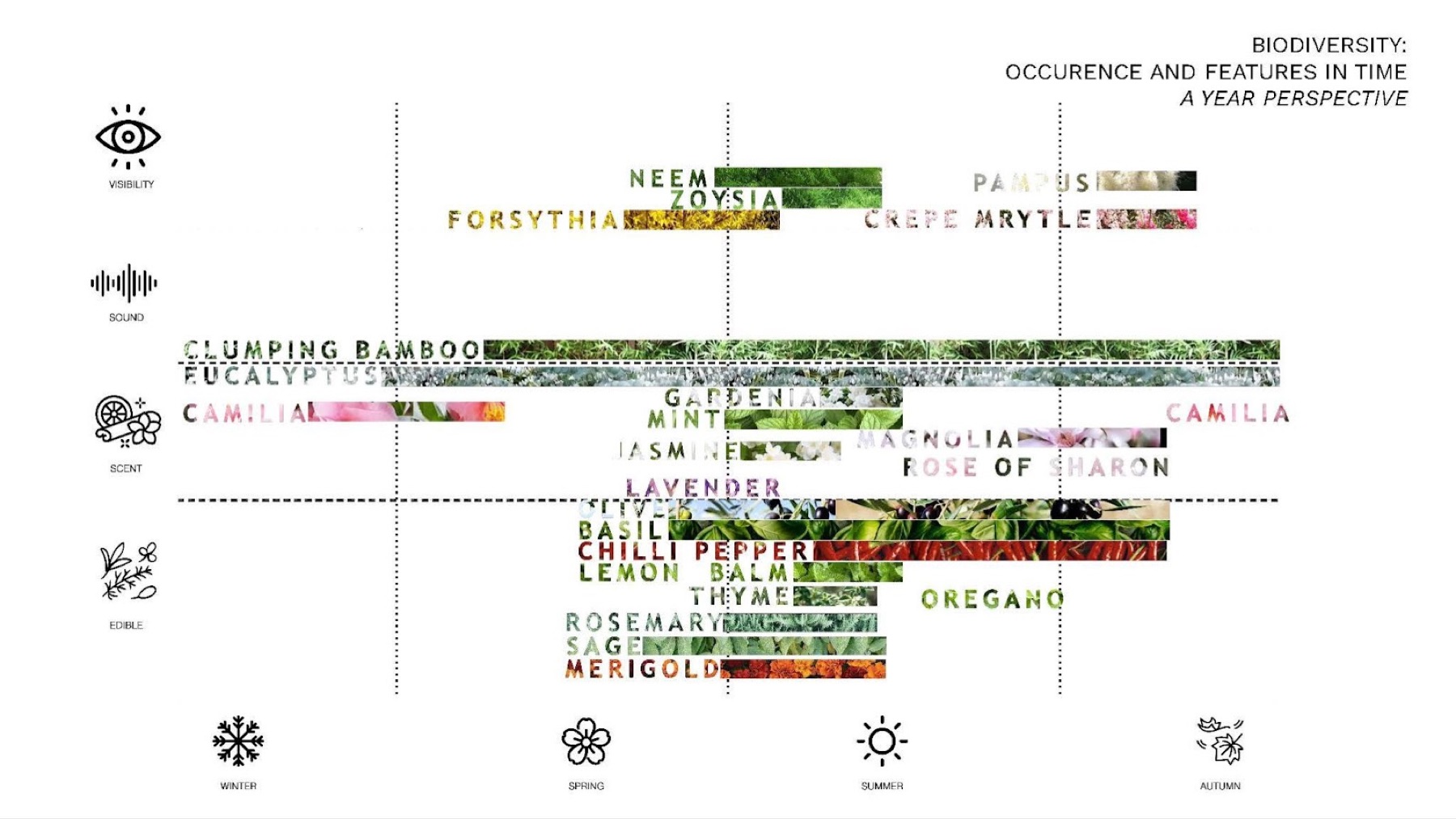 Designing for More Than Human, image 3